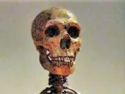 First Case of Down Syndrome among Neanderthals: Research Discovery