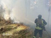 Forest fires in Donetsk region: rescuers have controlled the fire