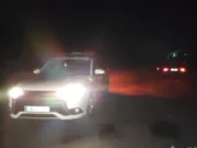 Drunk drivers tried to avoid punishment with bribes in Sumy region